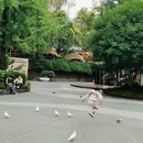 新华公园 - 成都市旅游 缩略图 4
