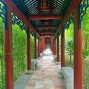 顺峰山公园 - 佛山市旅游 缩略图 5
