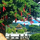 顺峰山公园 - 佛山市旅游 缩略图 2