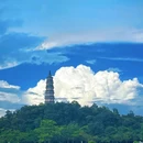 顺峰山公园 - 佛山市旅游 缩略图 7
