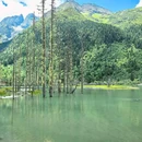 四姑娘山景区 - 阿坝藏族羌族自治州旅游 缩略图 7