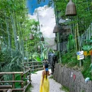 安吉云上草原度假村·半山隐竹熊猫酒店 - 湖州市旅游 缩略图 1
