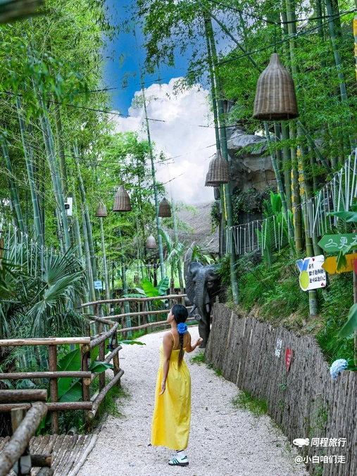 安吉云上草原度假村·半山隐竹熊猫酒店 - 湖州市旅游