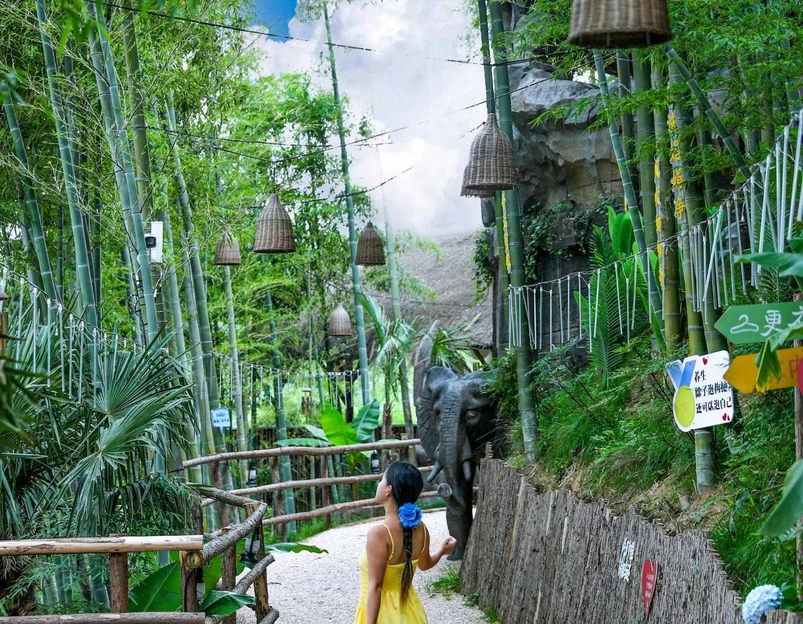 安吉云上草原度假村·半山隐竹熊猫酒店 - 湖州市旅游 1
