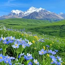 川西竹海 - 乐山市旅游 缩略图 1