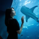 珠海旅游 缩略图 5