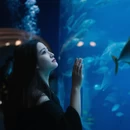 珠海旅游 缩略图 9