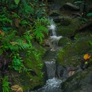 白云山风景名胜区 - 广州市旅游 缩略图 2