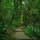 白云山风景名胜区 - 广州市旅游 缩略图 5