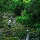 白云山风景名胜区 - 广州市旅游 缩略图 1