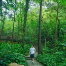 白云山风景名胜区 - 广州市旅游 缩略图 4