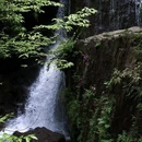 龙苍沟森林公园 - 雅安市旅游 缩略图 1