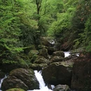 龙苍沟森林公园 - 雅安市旅游 缩略图 6