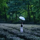 闲山·雨花茶院 - 南京市旅游 缩略图 4