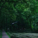 闲山·雨花茶院 - 南京市旅游 缩略图 3