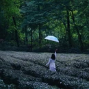 闲山·雨花茶院 - 南京市旅游 缩略图 1