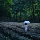 闲山·雨花茶院 - 南京市旅游 缩略图 7