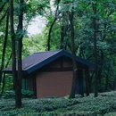 闲山·雨花茶院 - 南京市旅游 缩略图 8