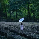 闲山·雨花茶院 - 南京市旅游 缩略图 9