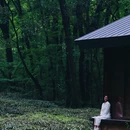 闲山·雨花茶院 - 南京市旅游 缩略图 6