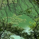 杭州千岛湖牧心谷生态乐园 - 杭州市旅游 缩略图 8