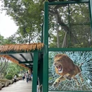 广州动物园 - 广州市旅游 缩略图 9