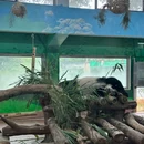 广州动物园 - 广州市旅游 缩略图 6