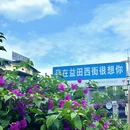 阳朔西街 - 桂林旅游 缩略图 6
