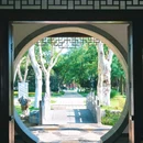 逍遥津公园 - 合肥市旅游 缩略图 6
