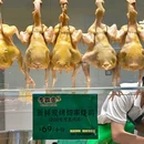 京柏城 - 佛山市旅游 缩略图 3