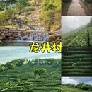 杭州悦玺有家公寓(杭州万象城店) - 杭州市旅游 缩略图 3