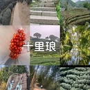 杭州悦玺有家公寓(杭州万象城店) - 杭州市旅游 缩略图 5