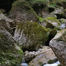 青城后山-五龙沟 - 成都市旅游 缩略图 9