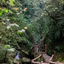 青城后山-五龙沟 - 成都市旅游 缩略图 1