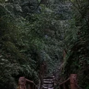 青城后山-五龙沟 - 成都市旅游 缩略图 4