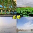 龙湖杭州西溪天街 - 杭州市旅游 缩略图 4