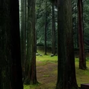 灵岩寺 - 成都市旅游 缩略图 2