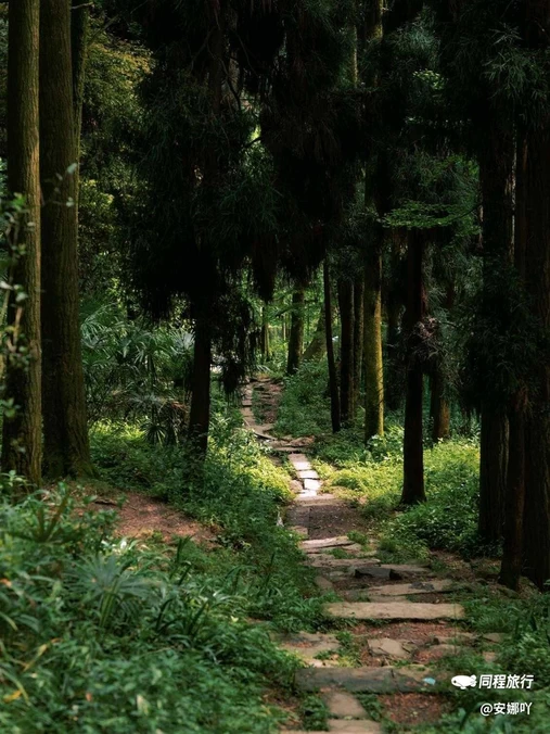 灵岩寺 - 成都市旅游