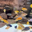 上海海洋水族馆 - 上海市旅游 缩略图 9