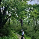 王岗坪景区 - 雅安市旅游 缩略图 1