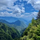 王岗坪景区 - 雅安市旅游 缩略图 7