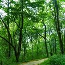 九皇山景区-上站 - 绵阳市旅游 缩略图 6