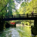 青城后山 - 成都市旅游 缩略图 9