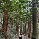 西天目山风景区 - 杭州市旅游 缩略图 5