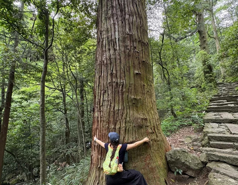 西天目山风景区 - 杭州市旅游 1