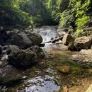 西天目山风景区 - 杭州市旅游 缩略图 2