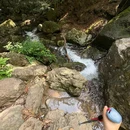 西天目山风景区 - 杭州市旅游 缩略图 3