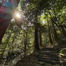 西天目山风景区 - 杭州市旅游 缩略图 4