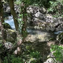 西天目山风景区 - 杭州市旅游 缩略图 6