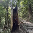 西天目山风景区 - 杭州市旅游 缩略图 9